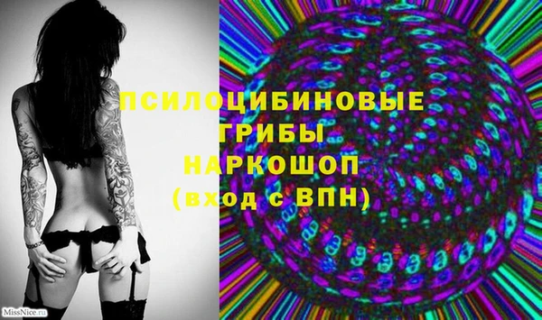 бошки Новозыбков