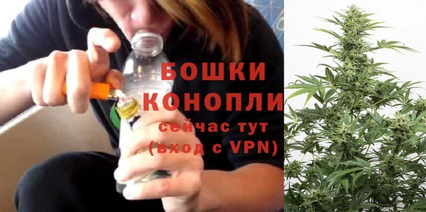бошки Новозыбков