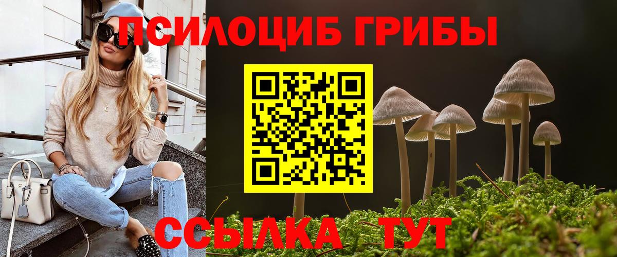Псилоцибиновые грибы ЛСД  закладки  Тосно  Псилоцибиновые грибы ЛСД  Вход с VPN 