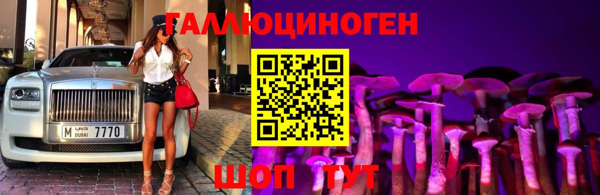 Галлюциногенные грибы Psilocybe Тосно